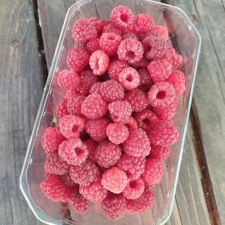 Refugio Hortensias بيت للعطل سينفايس