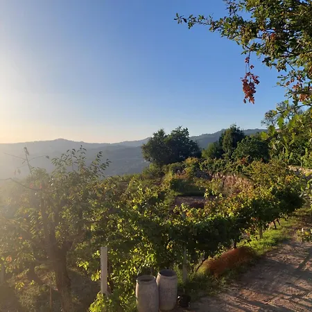 Refugio Hortensias 別荘 シンファンイス