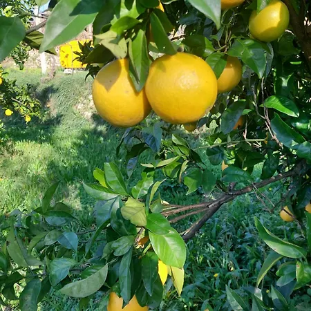 Refugio Hortensias سينفايس