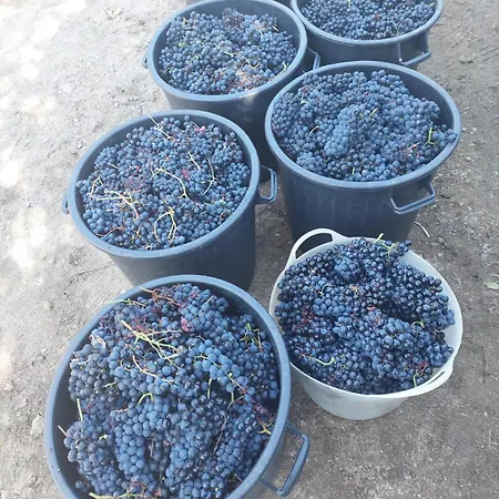 بيت للعطل Refugio Hortensias سينفايس