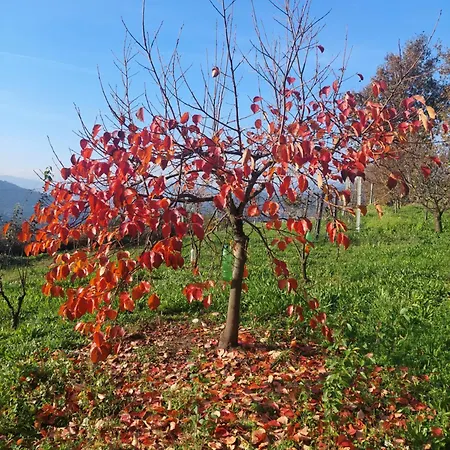 Refugio Hortensias بيت للعطل