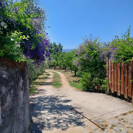 Refugio Hortensias *