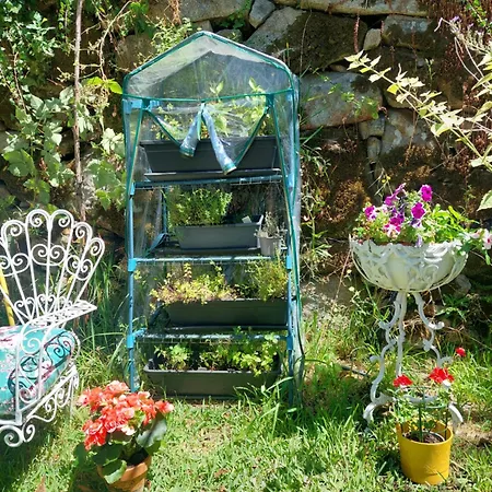 Refugio Hortensias * シンファンイス