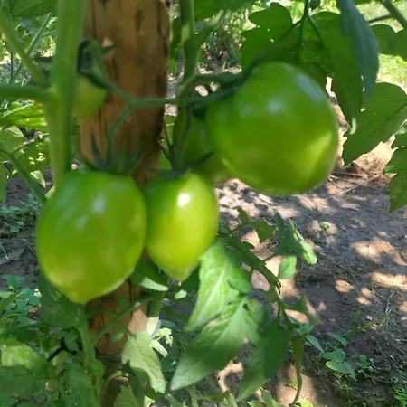 بيت للعطل Refugio Hortensias سينفايس