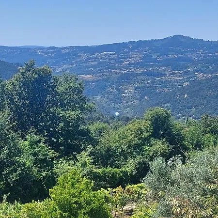 Refugio Hortensias Σπίτι διακοπών Cinfaes