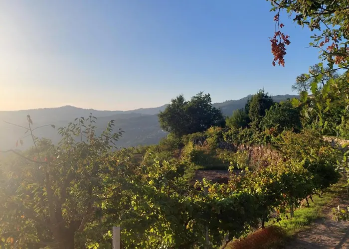 Refúgio Hortênsias Casa de Férias Cinfães