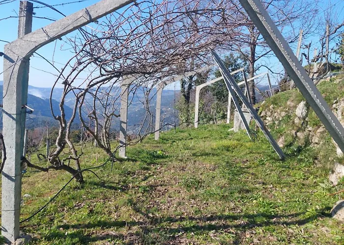 Casa de Férias Refúgio Hortênsias *