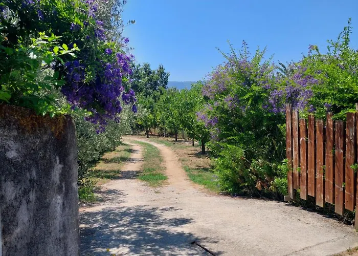 Refugio Hortensias *