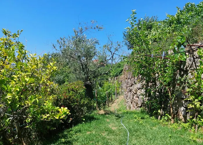 Casa de Férias Refúgio Hortênsias