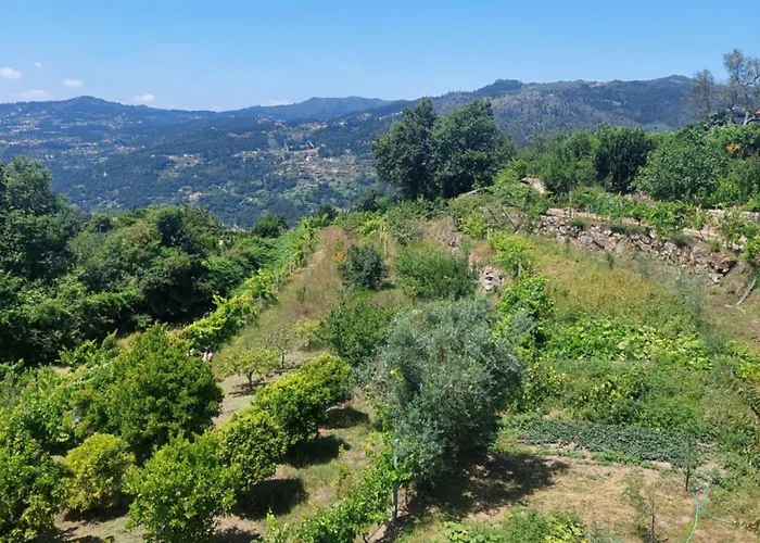 Hébergement de vacances Refúgio Hortênsias Cinfães