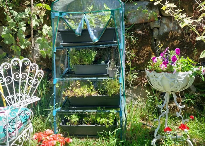 Refúgio Hortênsias * Cinfães