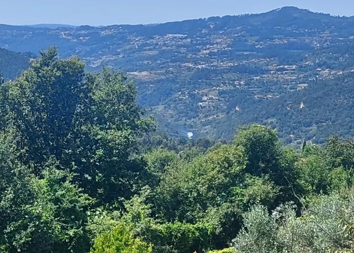 Refúgio Hortênsias Casa de Férias Cinfães