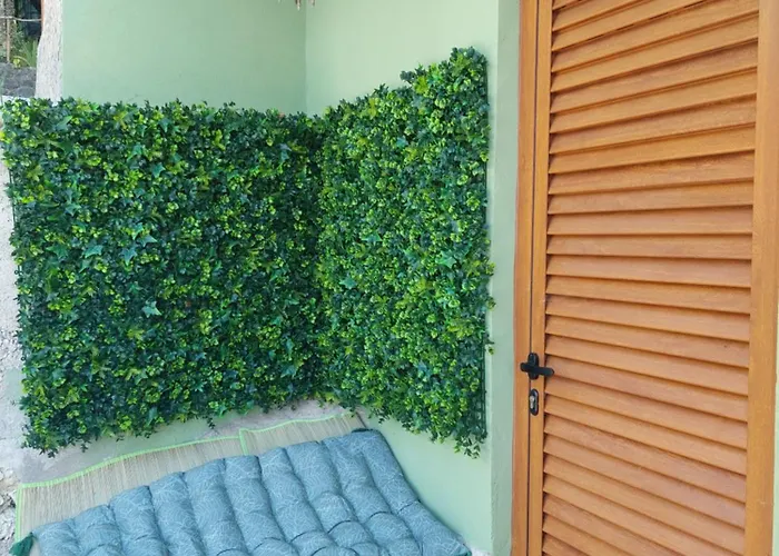 Hébergement de vacances Refúgio Hortênsias Cinfães