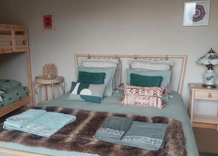 Refúgio Hortênsias * Cinfães