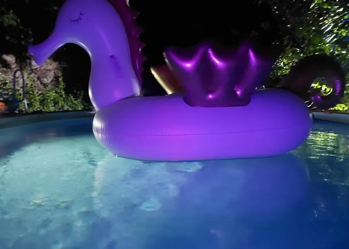 Hébergement de vacances Refúgio Hortênsias Cinfães