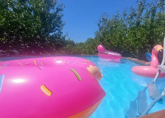 Refúgio Hortênsias Hébergement de vacances Cinfães