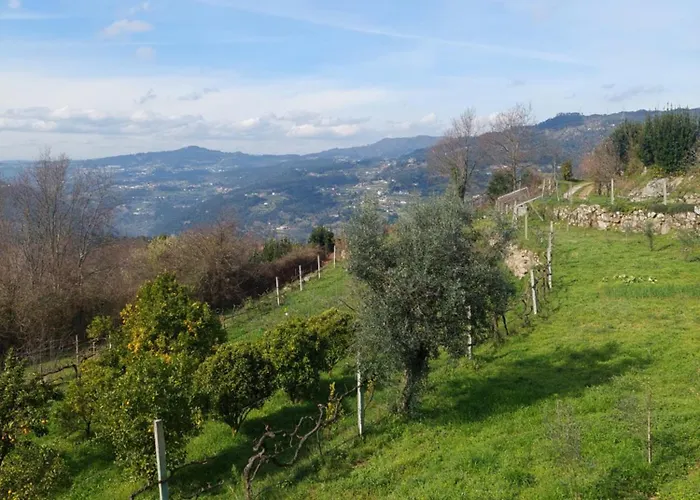 Refúgio Hortênsias Hébergement de vacances Cinfães